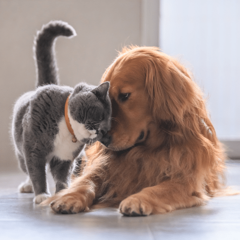 0001-2709394361109668901