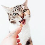 Pato Deshidratado para Perros y Gatos (500g)